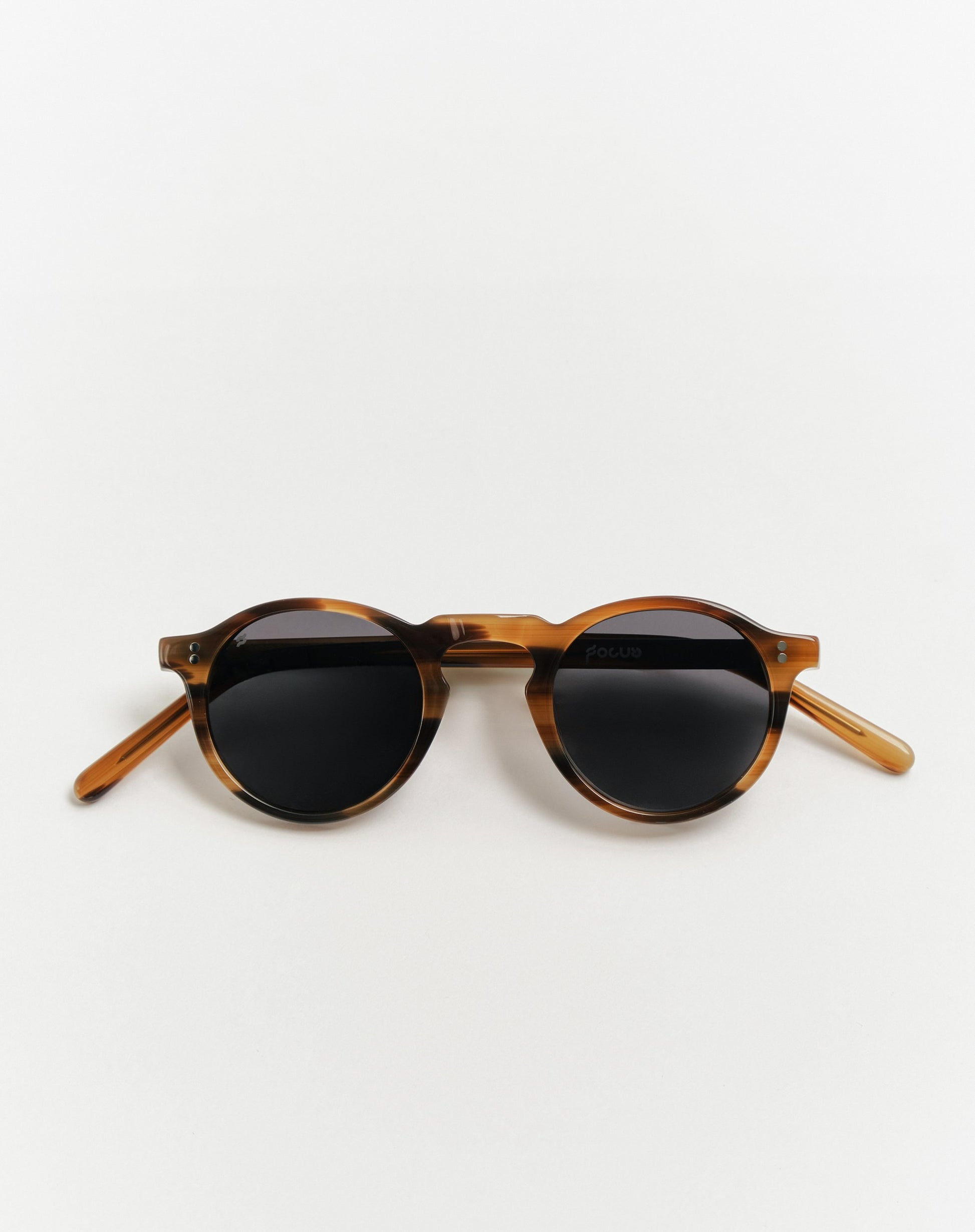 Otti Tortoise
